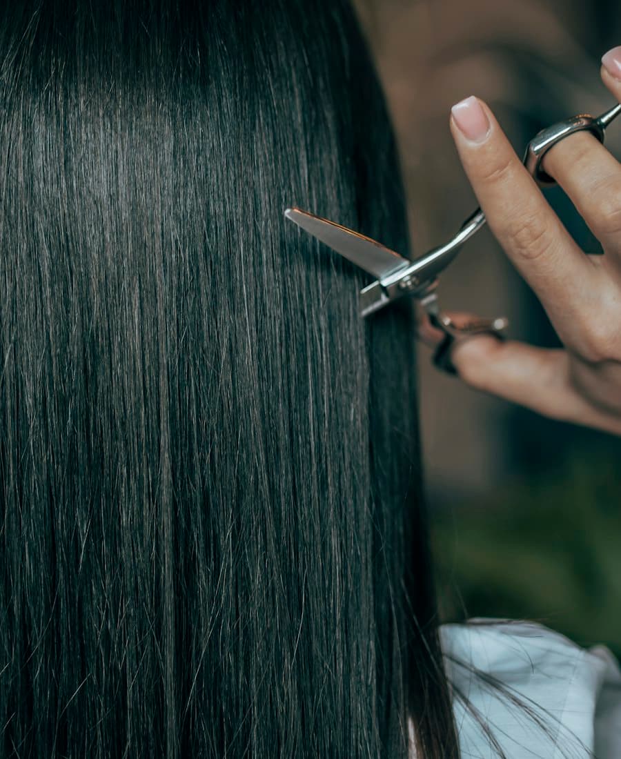 A hand holding scissors against a curtain of long, straight, glossy black hair